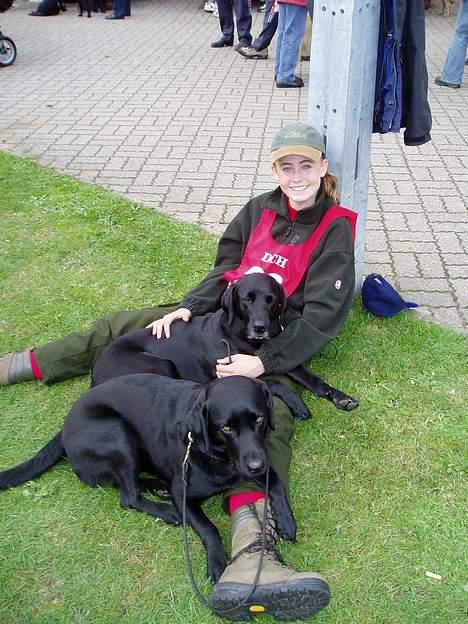 Labrador retriever Chica - Her hygger jeg med Christina og Maluo min gamle værelseskammerat..!  Hold op hun fylder, det er altså mig hende den tynde...!  billede 6