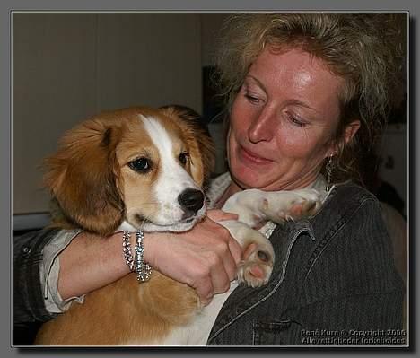 Blanding af racer Mark - Mark 16 uger billede 8