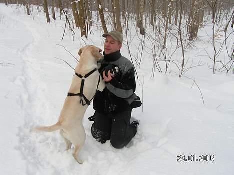 Labrador retriever Fie - Dejligt med en krammer :-) billede 20