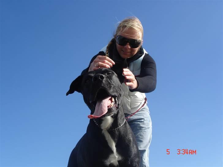 Blanding af racer Tjalfe - Setember 2007 billede 14