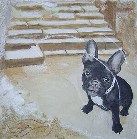 Fransk bulldog Gordon - Min far har malet mig, da jeg var lille billede 14