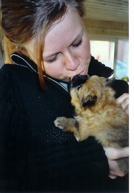 Pomeranian Uno - Mit første pys til moar... billede 11