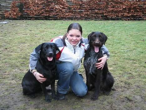 Labrador retriever Parma<33 - Parma og morgan og jeg billede 8