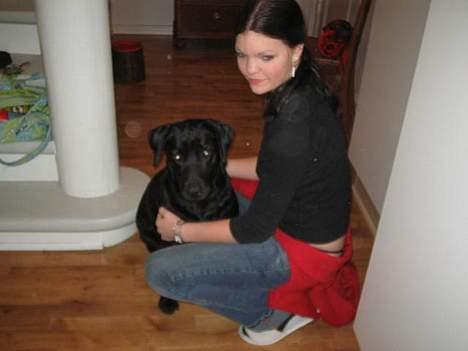 Labrador retriever Parma<33 - Nusser billede 14