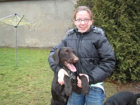 Ruhåret hønsehund Morgan - Min veninde og morgan..<33 billede 4