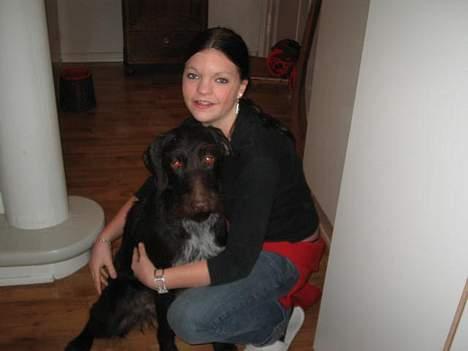 Ruhåret hønsehund Morgan - Morgan og jeg billede 14