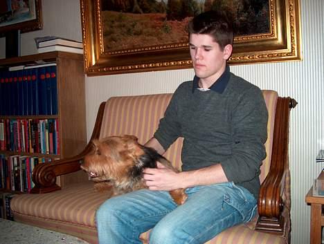 Australsk terrier Olfert (DØD) - Her sidder vi :o) billede 9