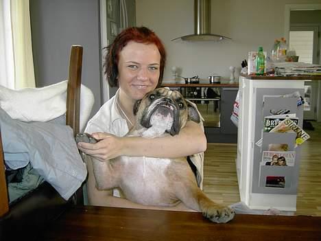 Engelsk bulldog Otto - elsker at sidde og hygge med moar.. billede 4