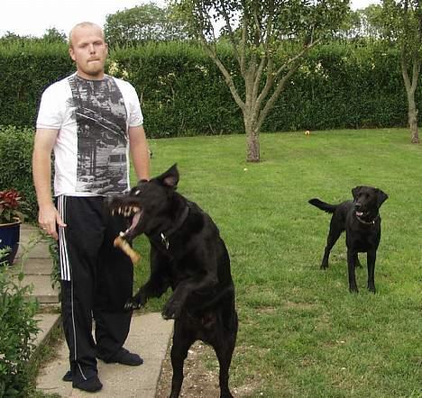 Blanding af racer Buster ***R.I.P.*** - MIT BEN billede 7