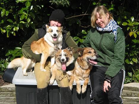 Blanding af racer Svejgaards Trifli - Hvor blev alt det sorte og hvide af?? billede 2