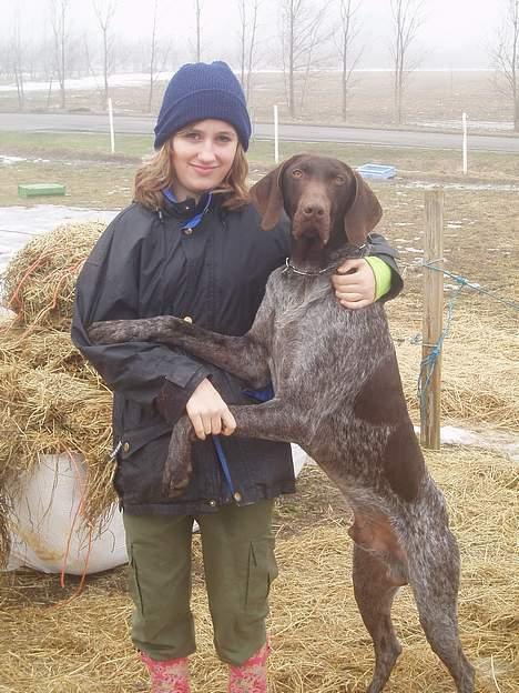 Korthåret hønsehund Marster  - Mig og min eger <3 se jeg kan godt lide hende ;D billede 3