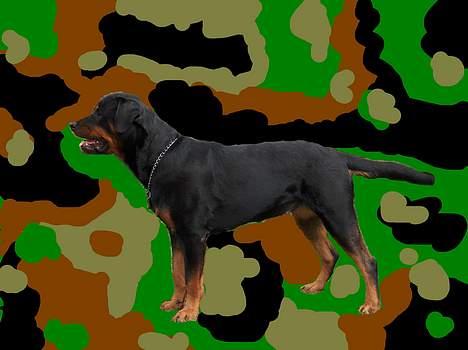 Rottweiler Gabi (Nellemann's Gerbara billede 7