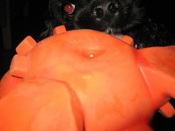 {{currentPhoto.altText}} billede {{currentPhoto.number}}