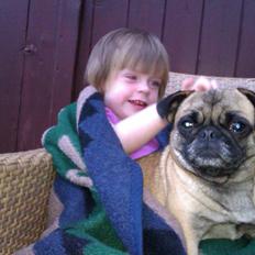 Blanding af racer Rosa