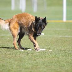 Tervueren Lundin Loyalty Aicha by Piondie