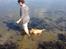 Nova scotia duck tolling retriever Alberte