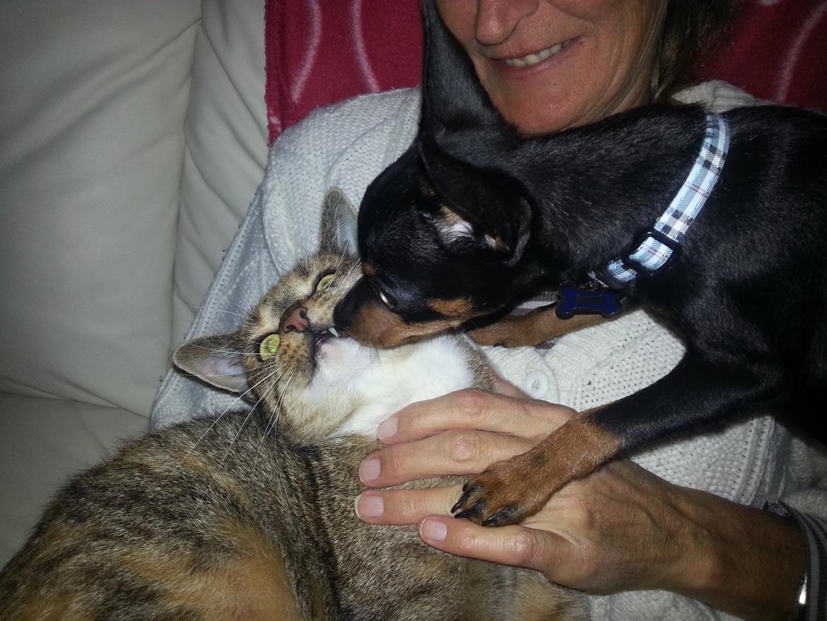 Blanding af racer Ninja *pivdyr* - Kiss kiss, hug hug <3 billede 32