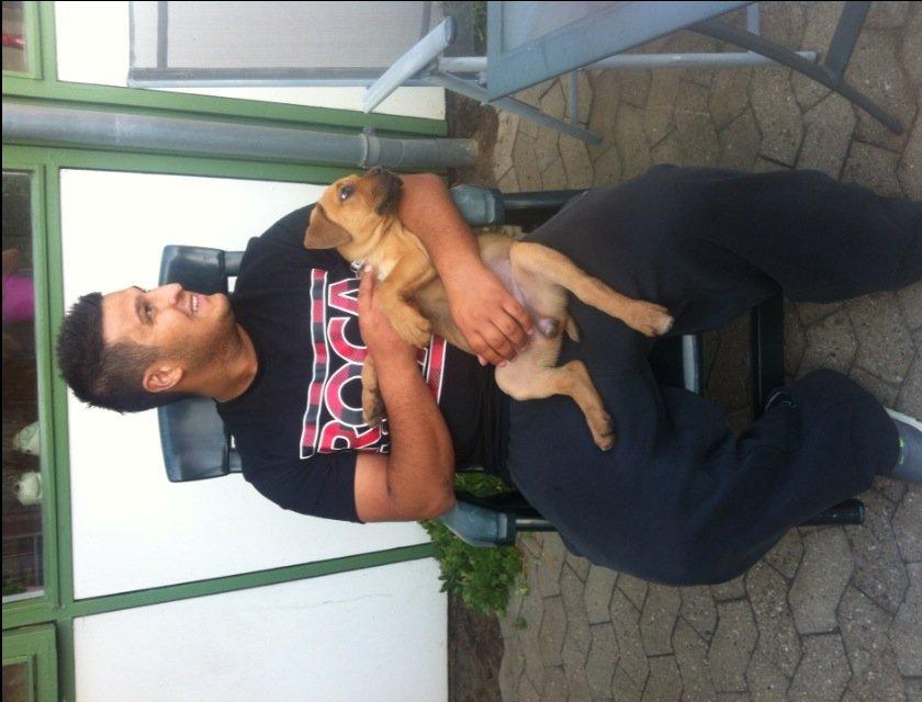 Blanding af racer Perle billede 9