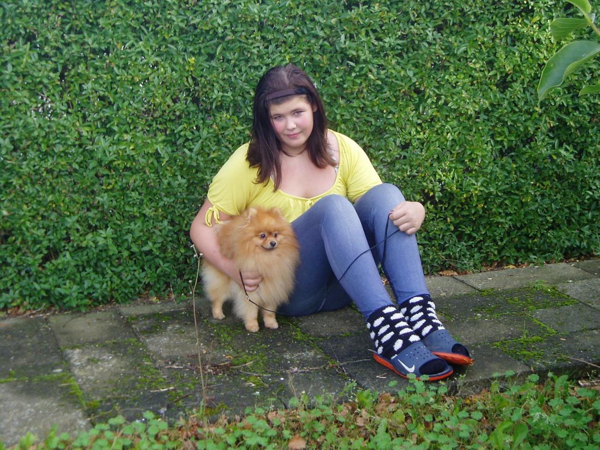 Pomeranian Naw Ore Never Of Majas Pomeranian World ( Maddox ) - min bedste menneske ven og jeg<3 billede 5