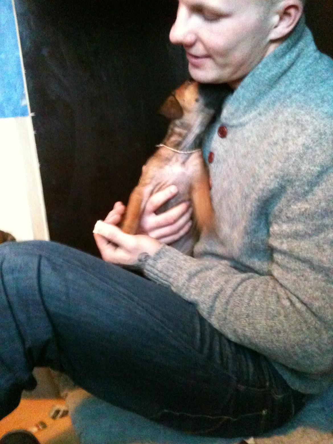 Rhodesian ridgeback Kuzungas Hamisi Aslan billede 1