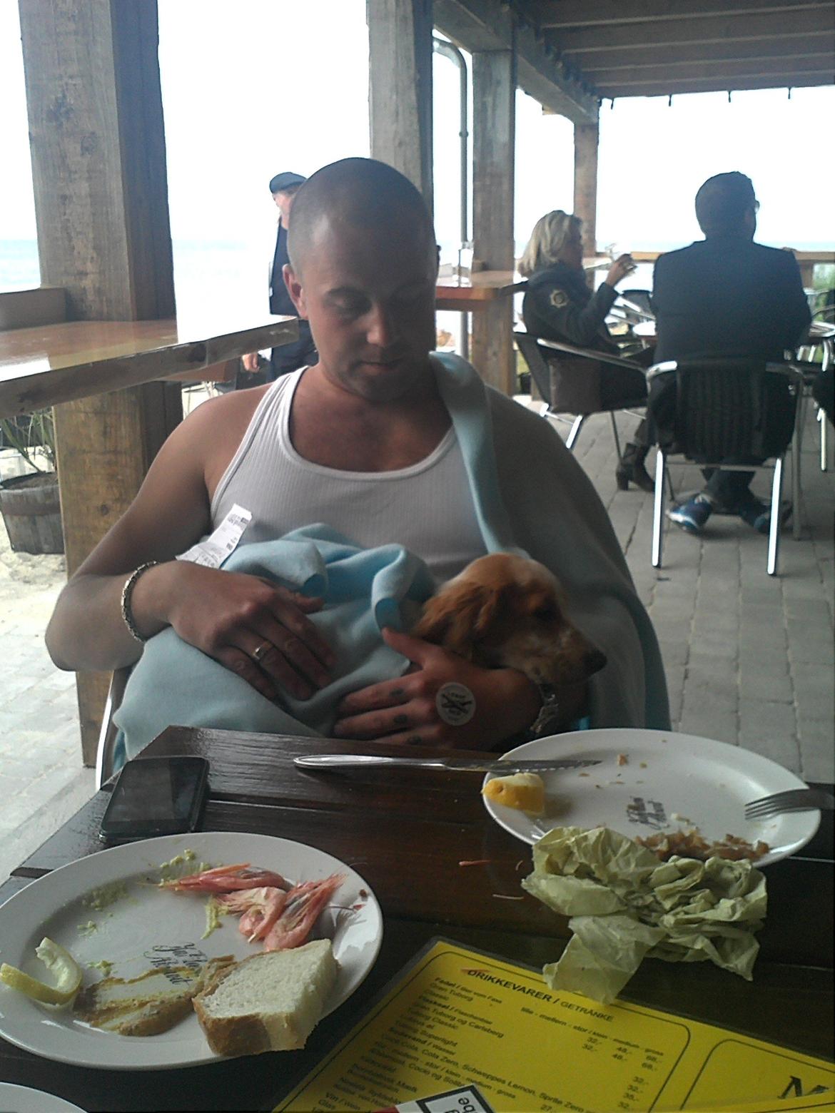 Cocker spaniel Harley - Harley ligger sammen med farmand.. billede 20