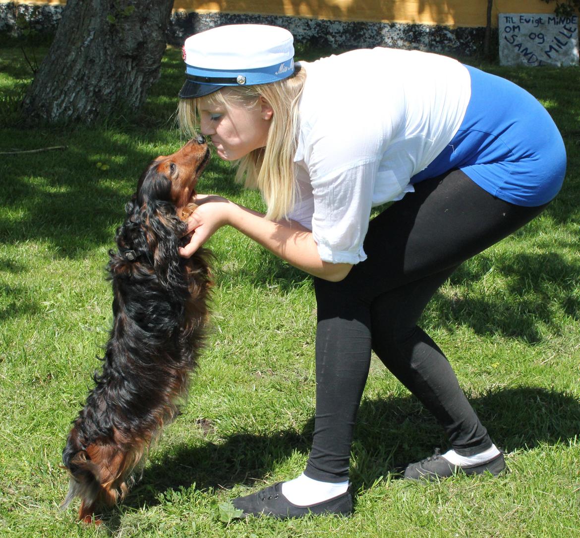 Gravhund Sundsdals Geo billede 11