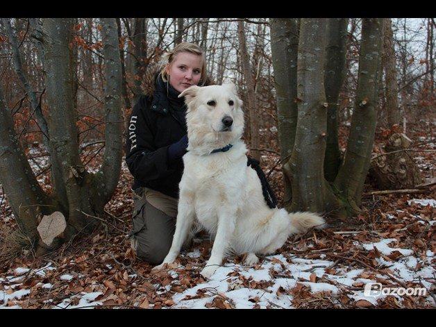 Blanding af racer Nordhusets Gina billede 2