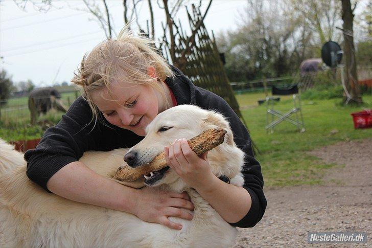 Blanding af racer Nordhusets Gina billede 20