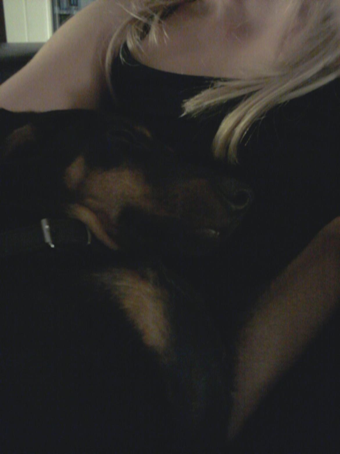 Blanding af racer Bastian billede 8