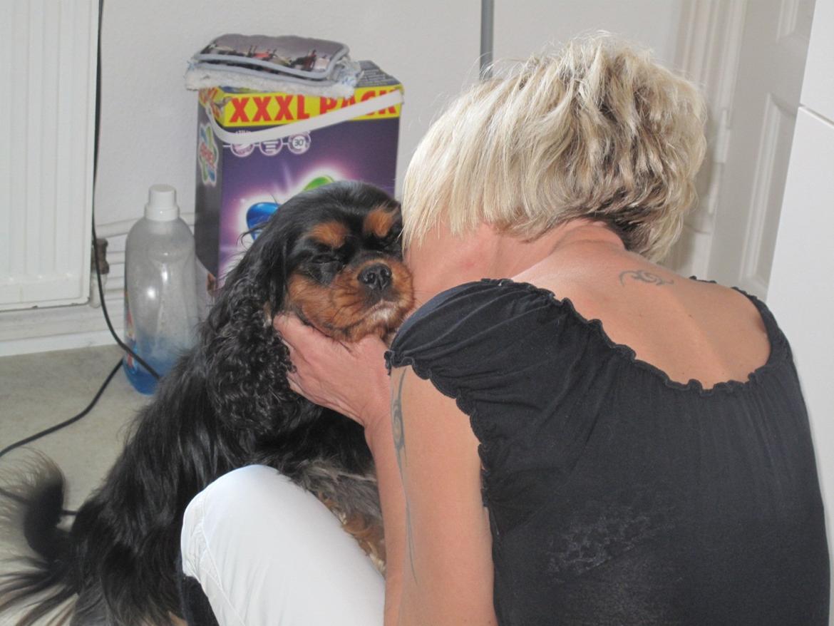 Cavalier king charles spaniel Daisy <3 - Daisy og min mor, de elsker hinanden så højt :)! billede 2