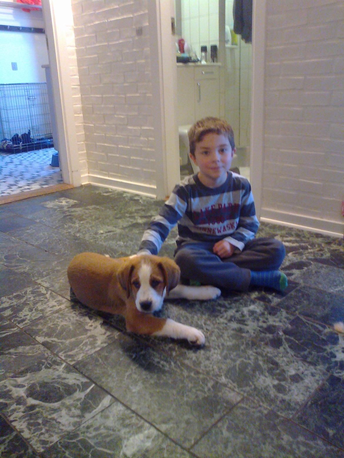 Blanding af racer Xena - Xena og min søn Christian billede 12