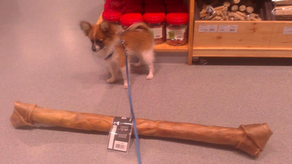 Blanding af racer **** Messi **** billede 12