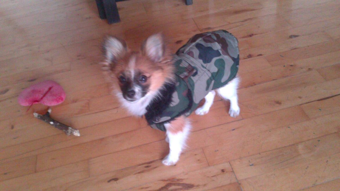 Blanding af racer **** Messi **** billede 9