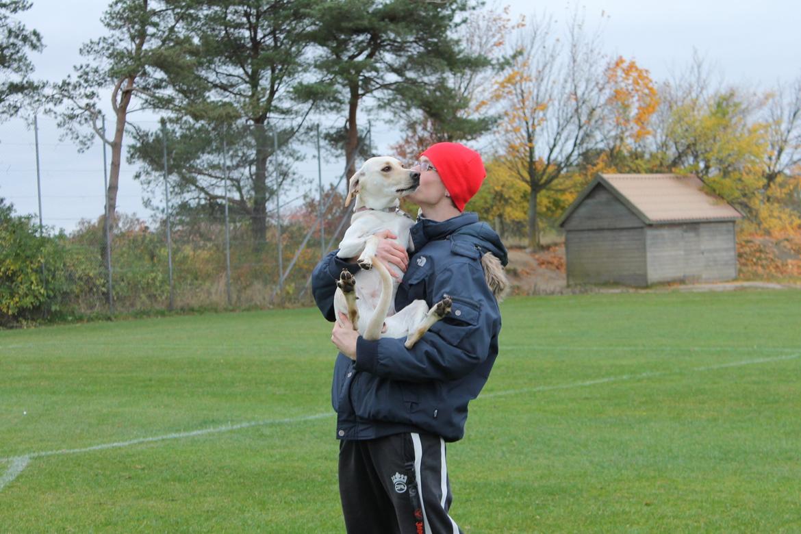 Blanding af racer Freja - Møsser :) 24.10.12 billede 15