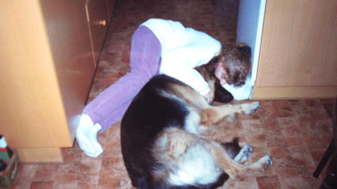 Schæferhund Zita - Det er mig som 14 årige sammen med dejlige Zita <3 billede 5