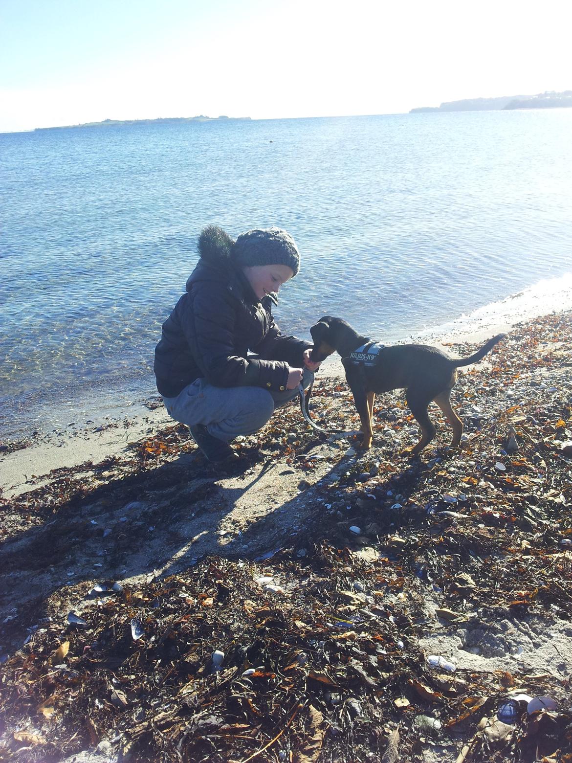 Blanding af racer Bastian billede 2