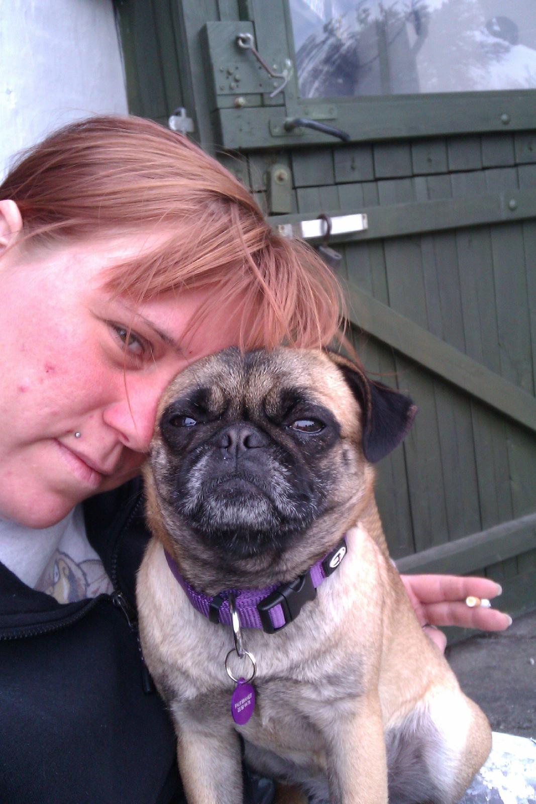 Blanding af racer Rosa - min lille rosa billede 6