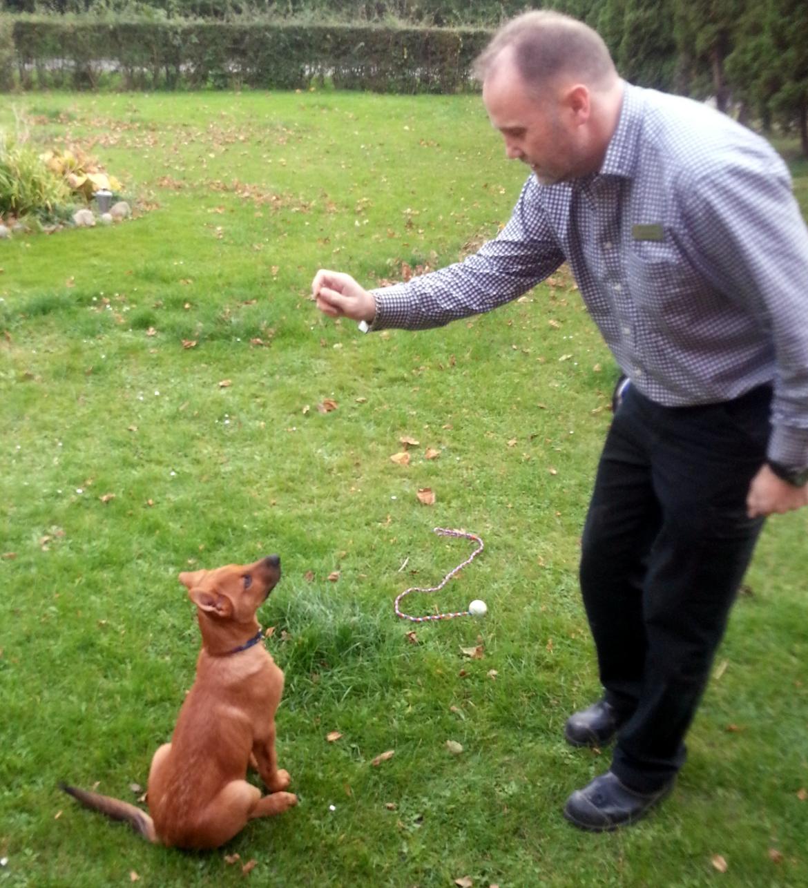 Blanding af racer *ASLAN* billede 9