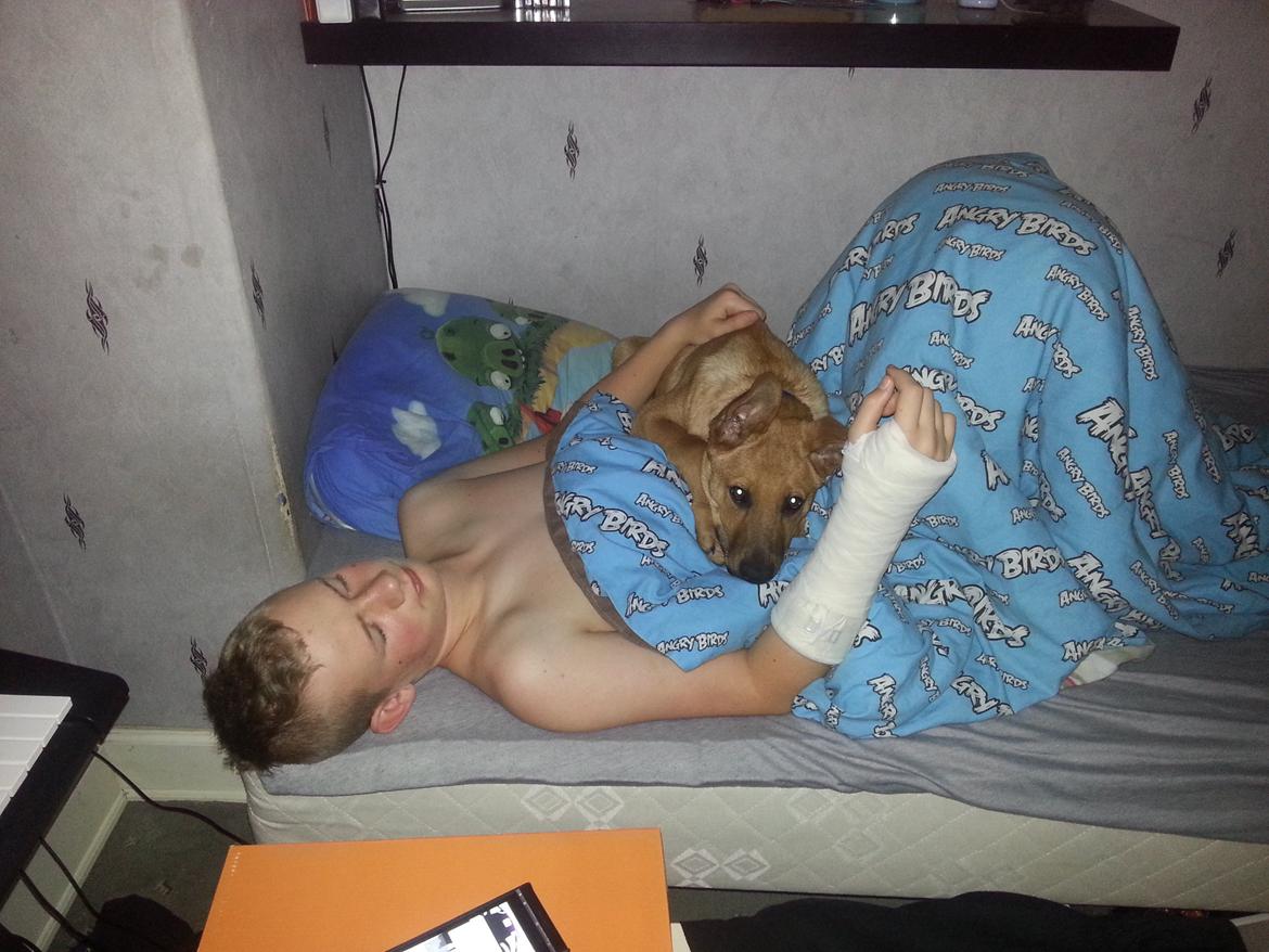 Blanding af racer *ASLAN* billede 12