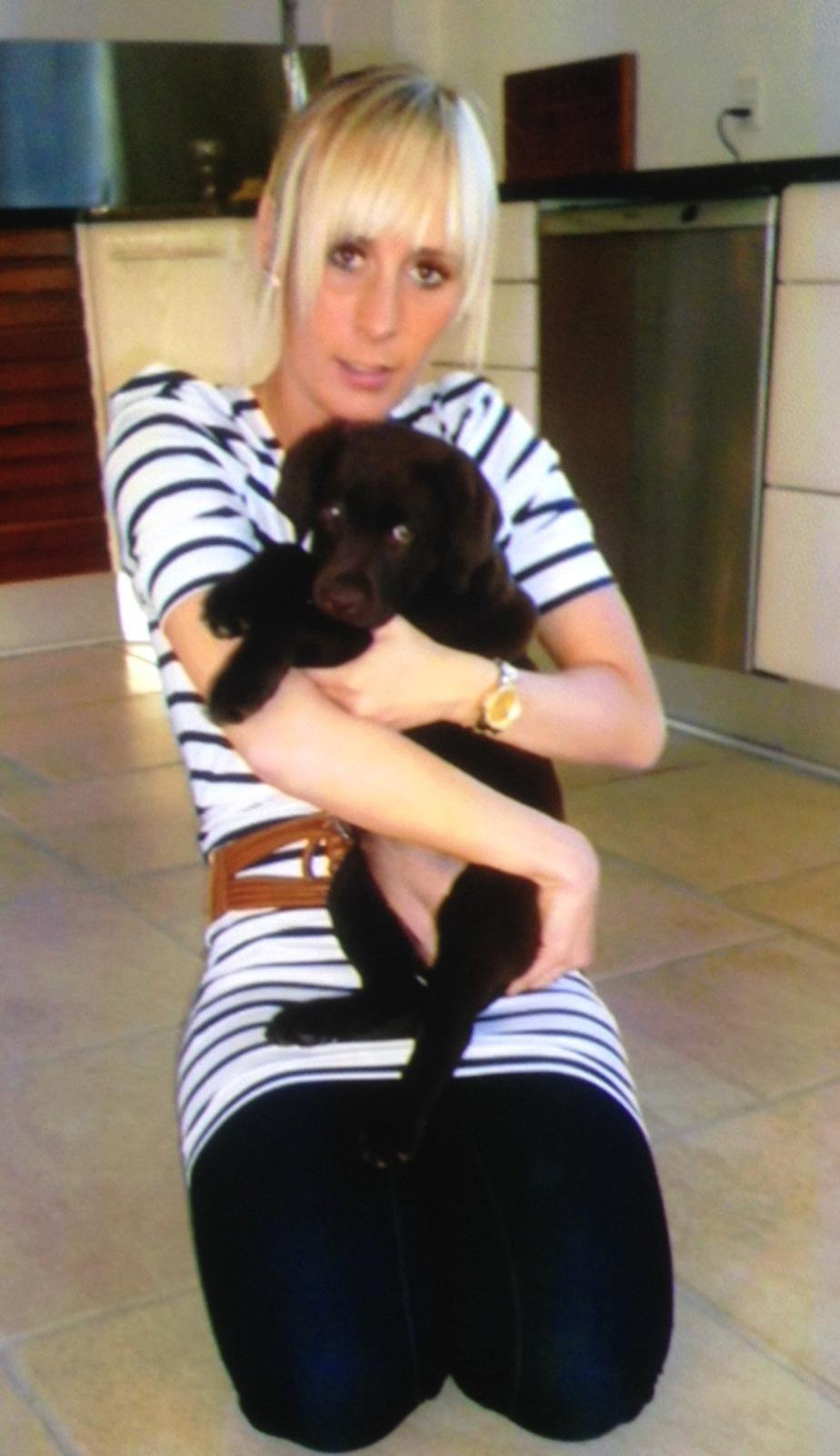 Labrador retriever muffi billede 8