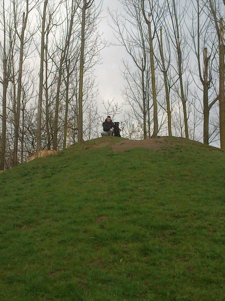 Blanding af racer Bella billede 4