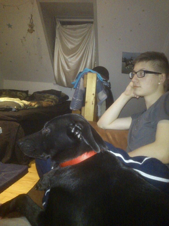 Blanding af racer Bella billede 7