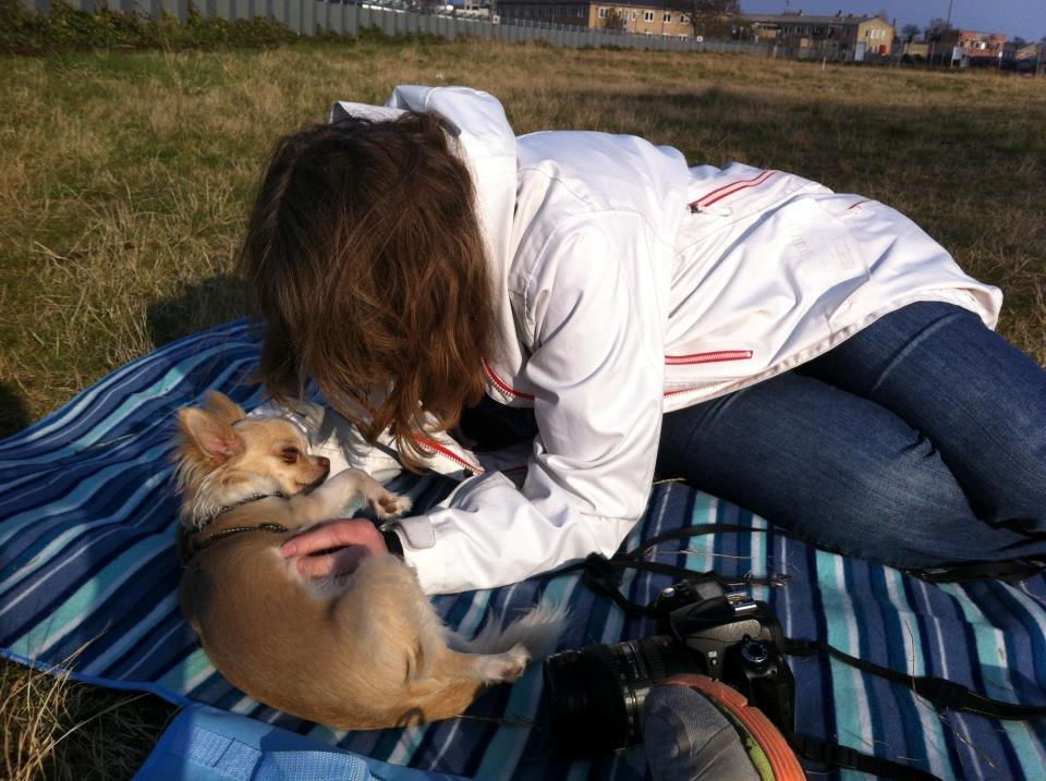 Chihuahua Chiboel's Dancing Matilde - Tila's absolutte yndlings menneske ;) billede 3