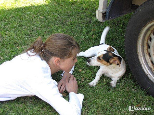 Jack russell terrier Lucky - Mig og Lucky! :-* billede 7