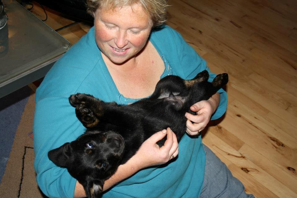 Blanding af racer Bane (*Bain*) billede 7