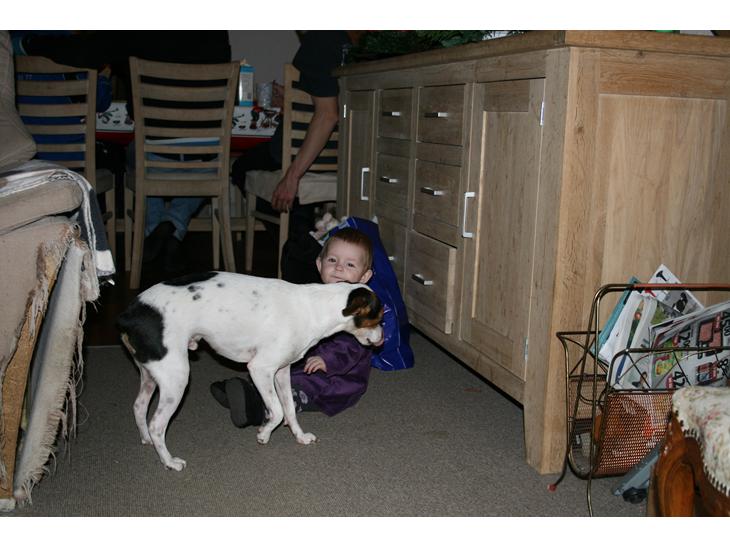 {{currentPhoto.altText}} billede {{currentPhoto.number}}