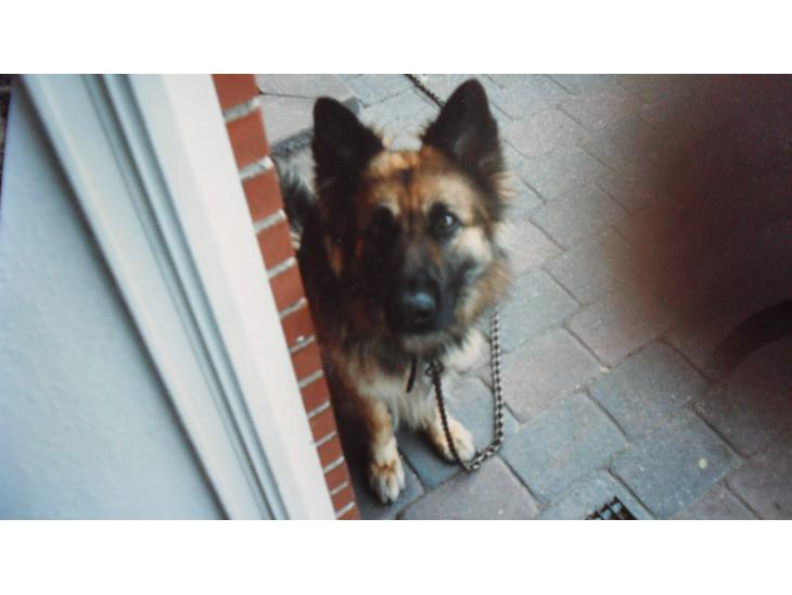 {{currentPhoto.altText}} billede {{currentPhoto.number}}