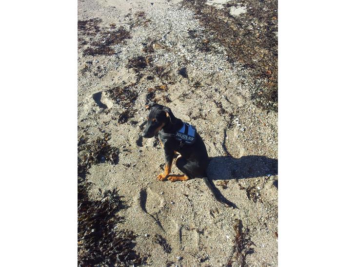 {{currentPhoto.altText}} billede {{currentPhoto.number}}