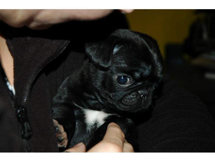 {{currentPhoto.altText}} billede {{currentPhoto.number}}