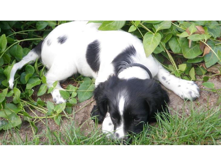 {{currentPhoto.altText}} billede {{currentPhoto.number}}